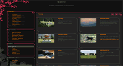 Desktop Screenshot of album.vladimirjary.cz